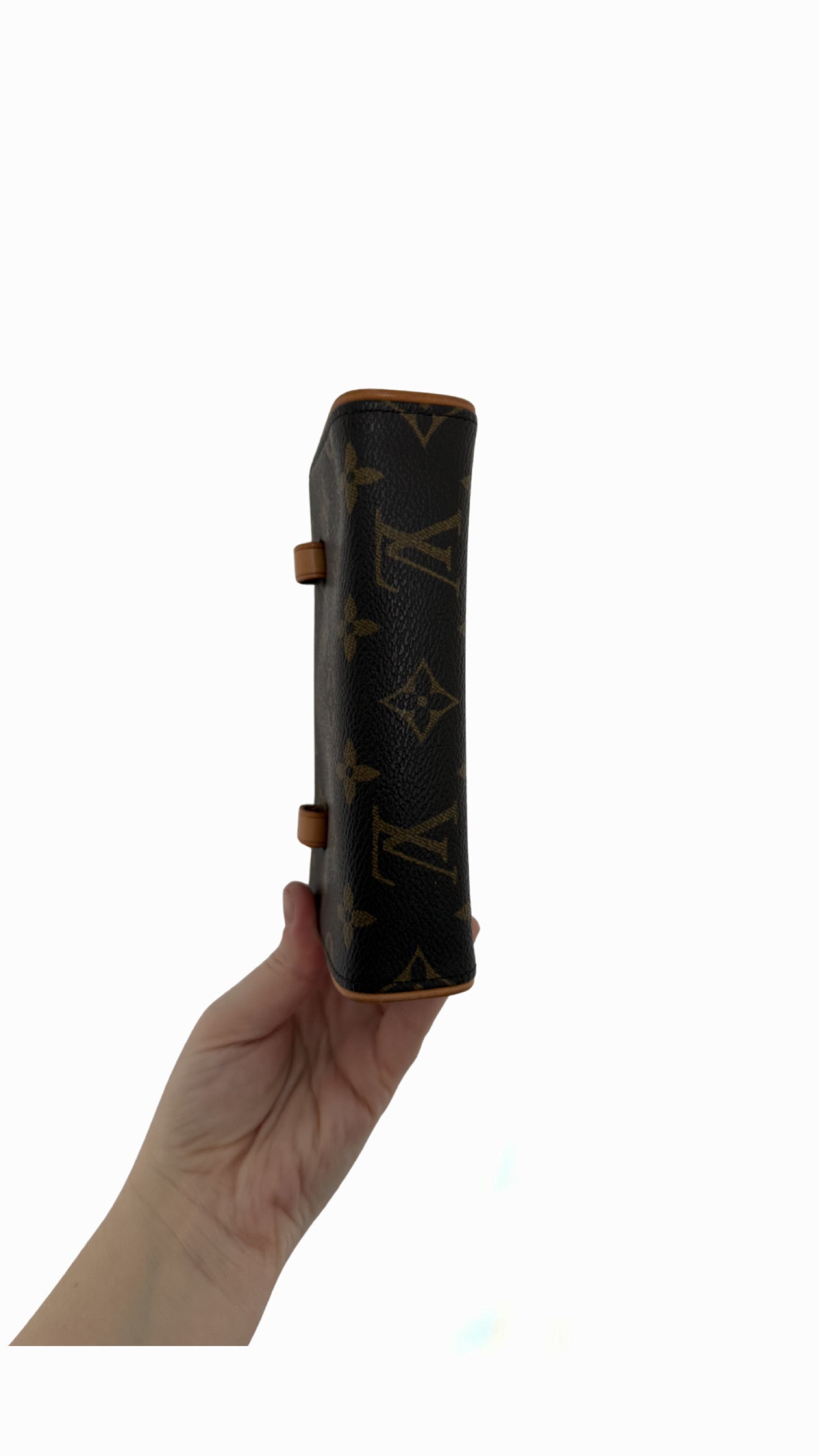 Louis Vuitton Florentine Belt Bag