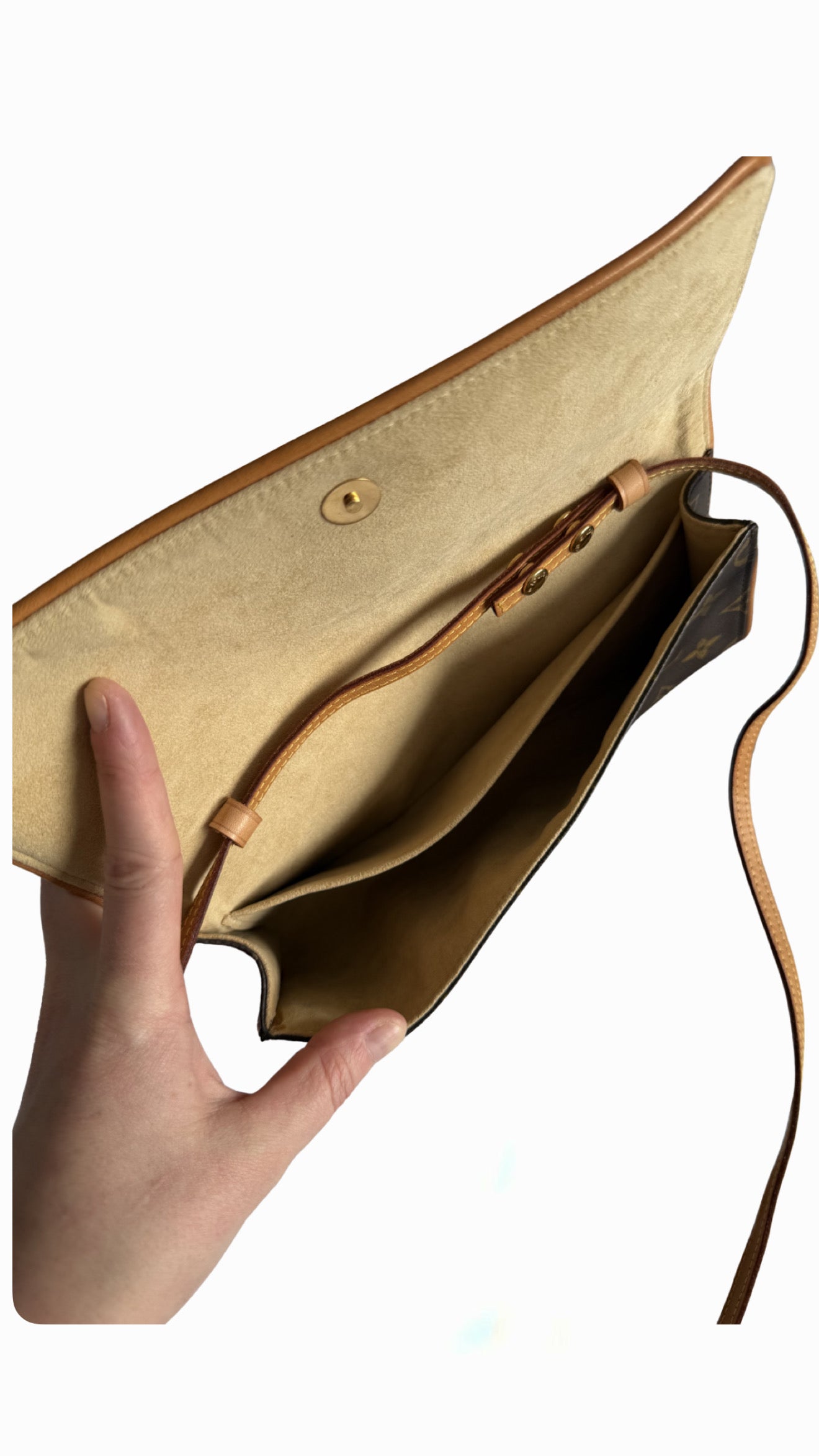 Louis Vuitton Pochette Twin GM