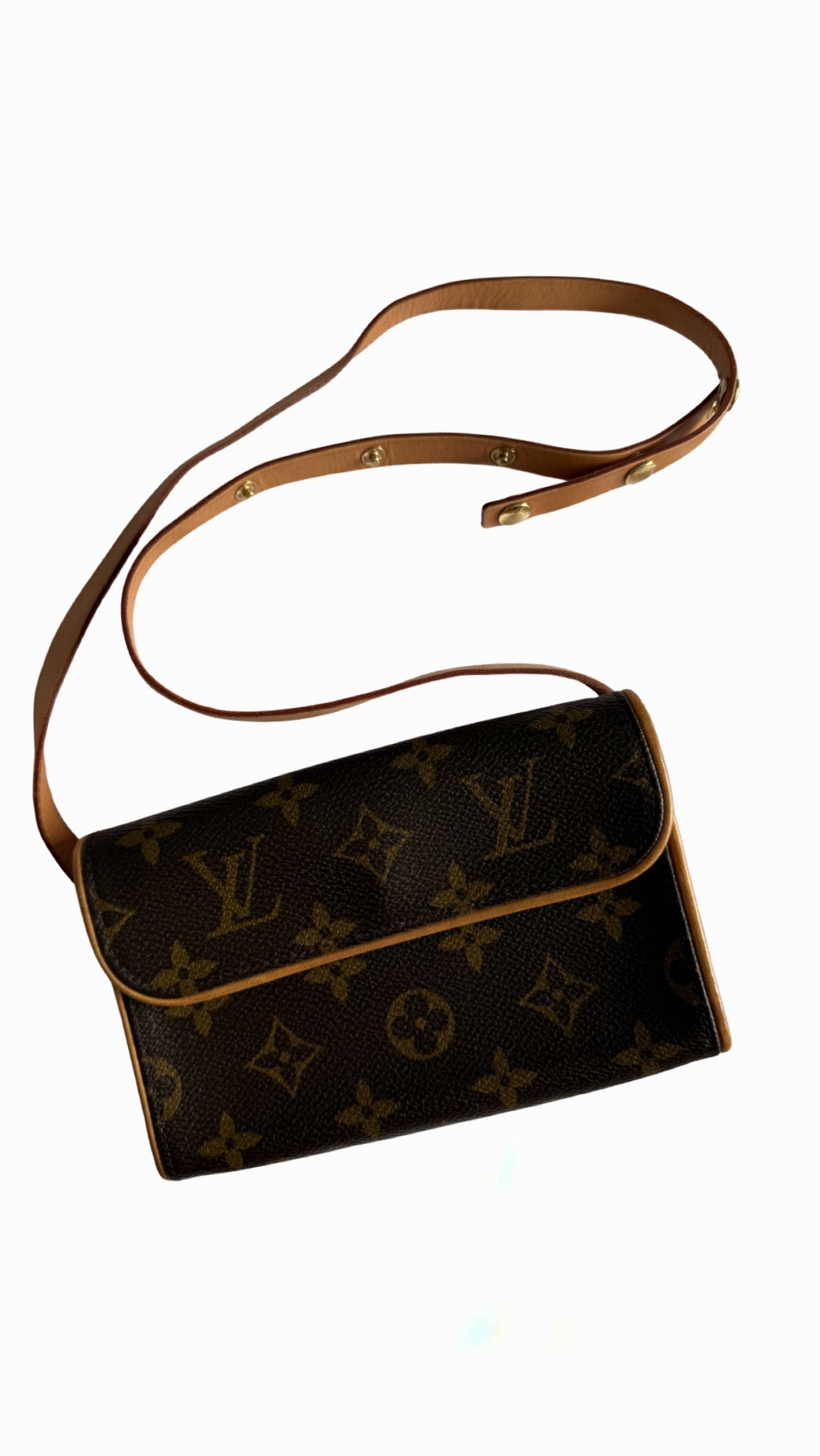 Louis Vuitton Florentine Belt Bag