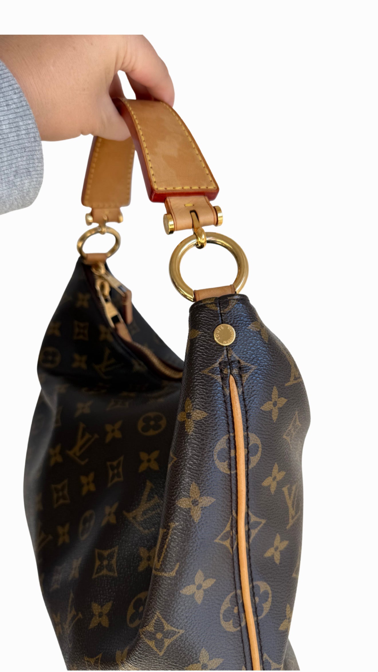 Louis Vuitton Monogram Sully PM