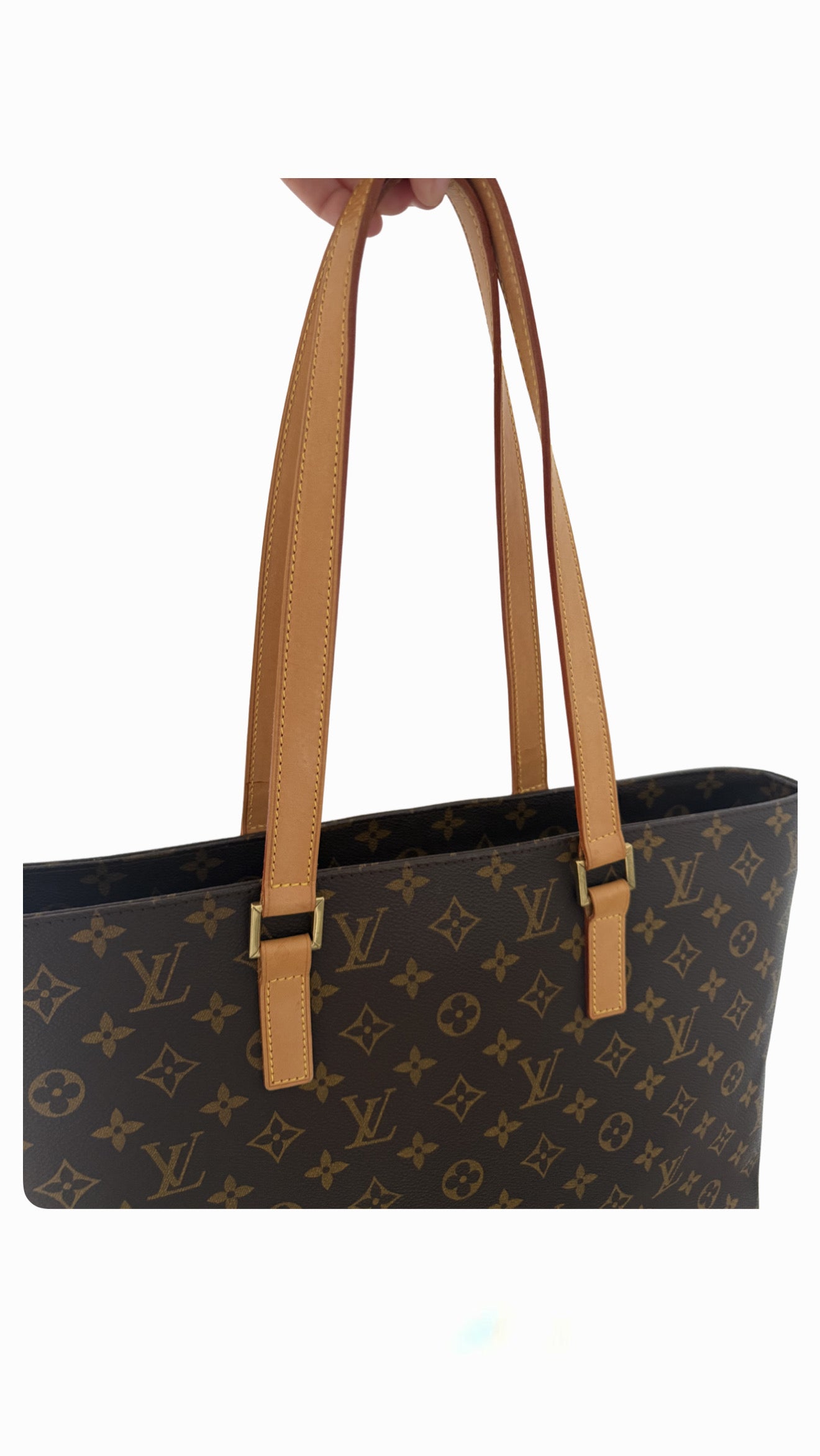 Louis Vuitton Monogram Luco Tote Bag
