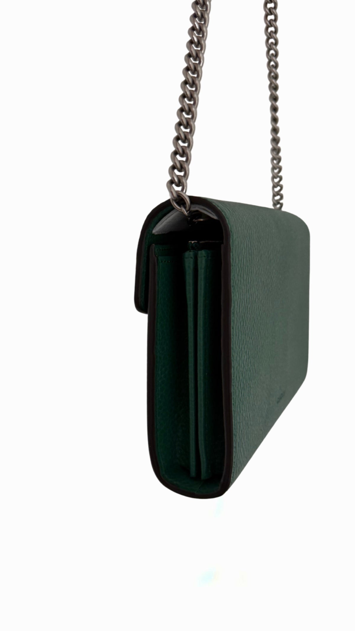 Gucci Dionysus Wallet on Chain