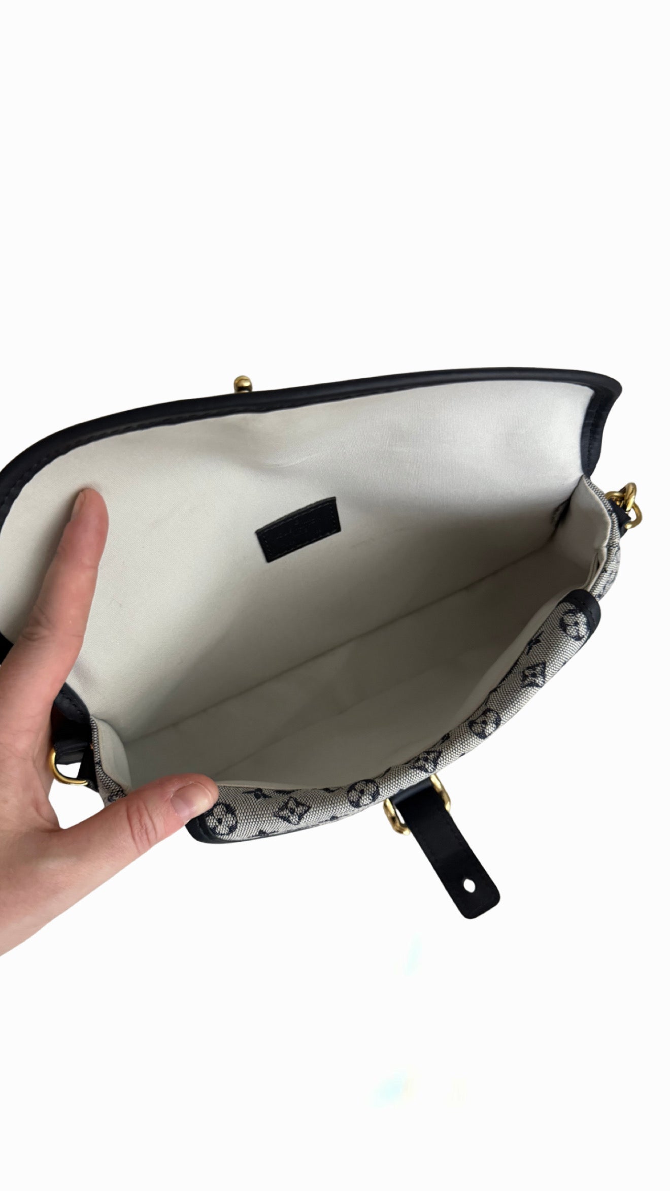 Louis Vuitton Blue Monogram Mini Lin Marjorie Shouder Bag