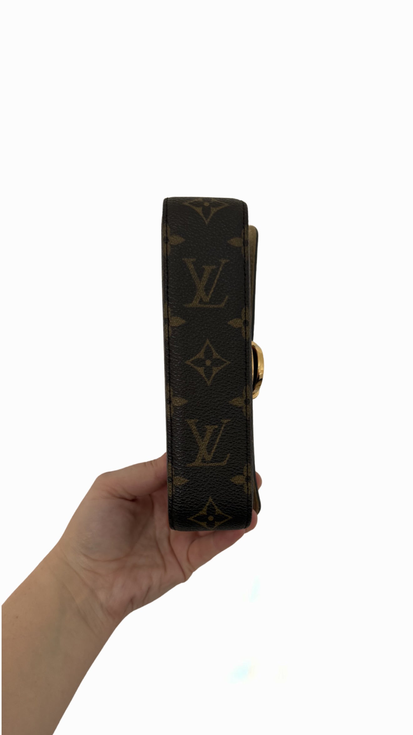Louis Vuitton Monogram Pochette Lagoon Sunglasses Case