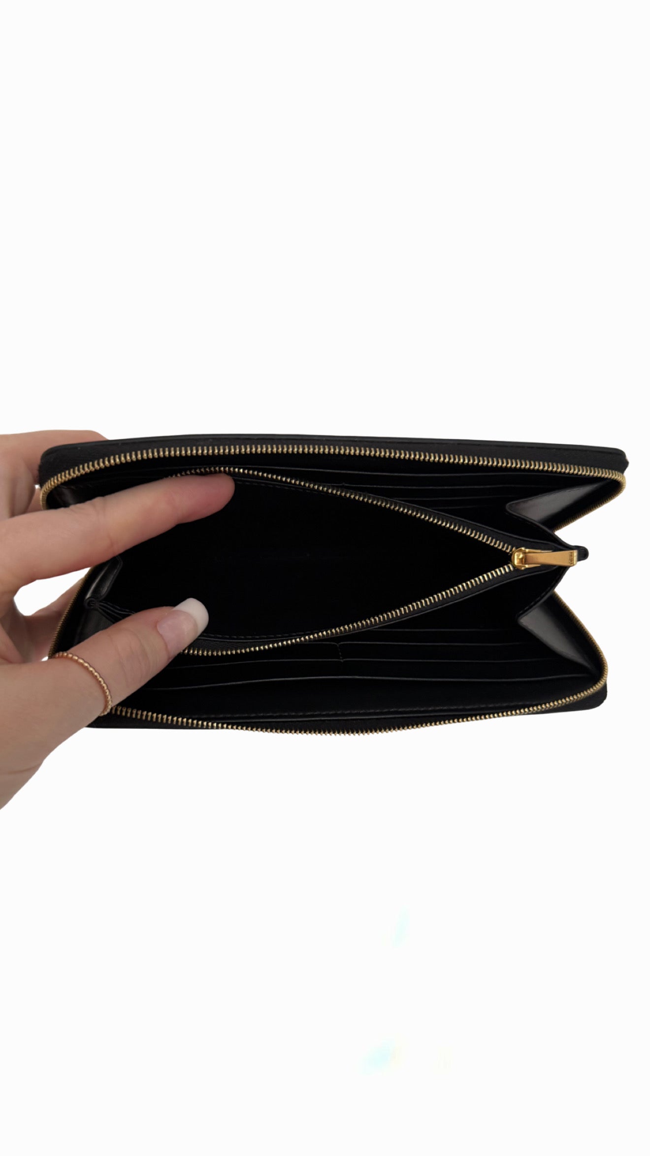 Celine Large Zipped Wallet in Triomphe Canvas